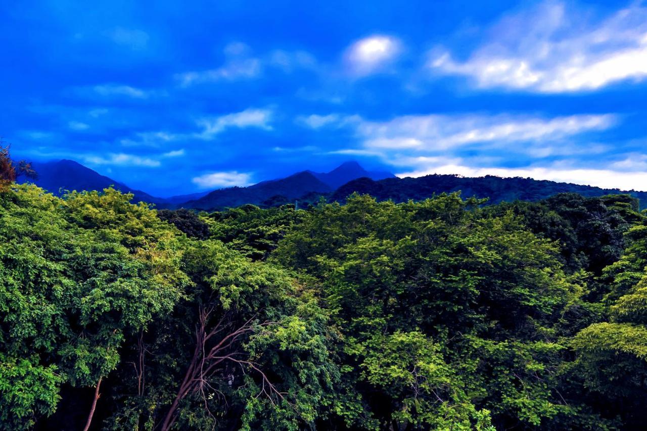 Villa Maria Tayrona, Jungle And Sea Experience Los Naranjos Extérieur photo