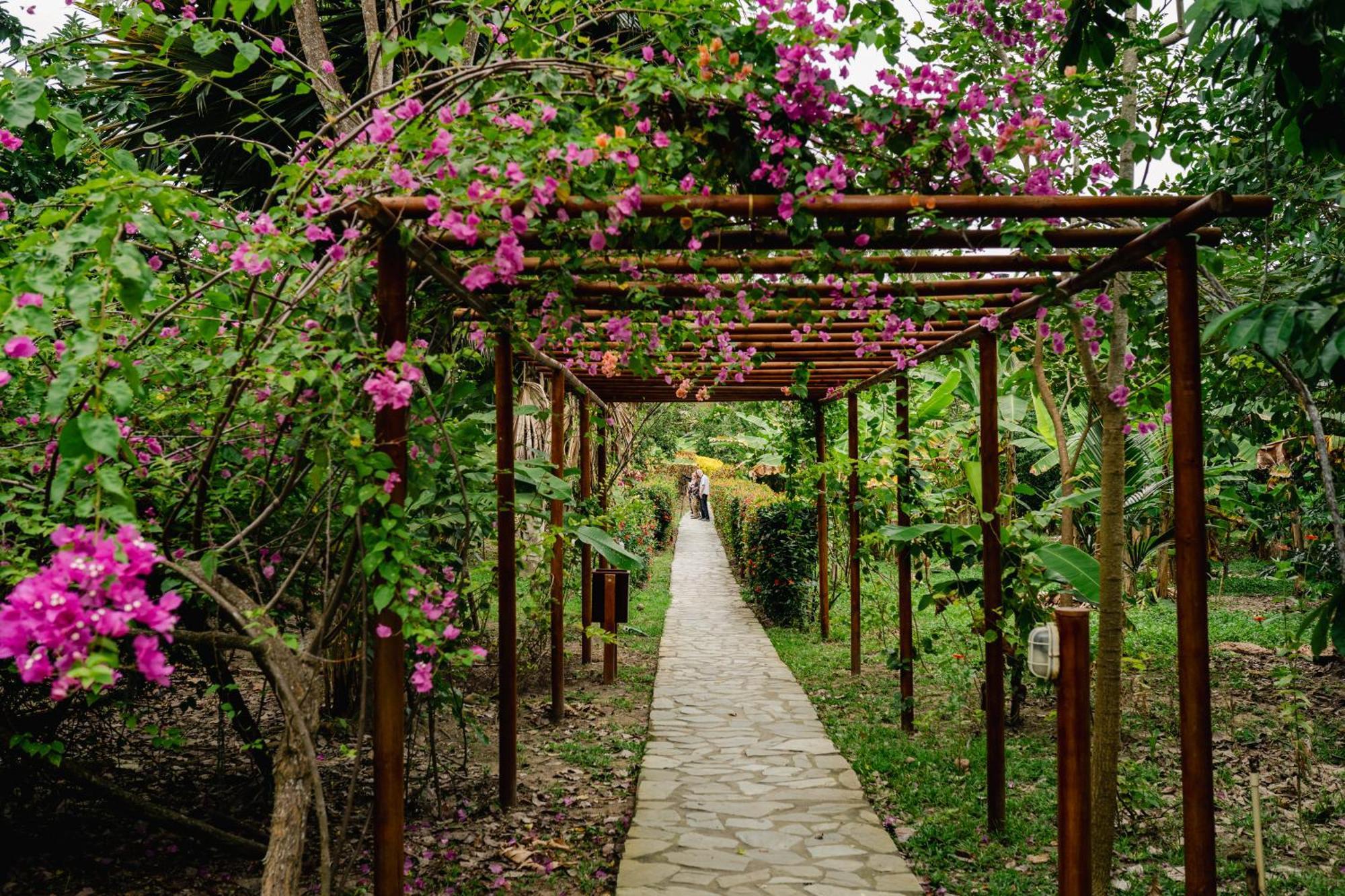 Villa Maria Tayrona, Jungle And Sea Experience Los Naranjos Extérieur photo